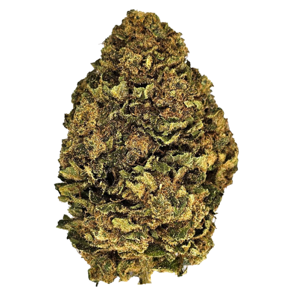 Fleurs de NorthWest CBD cultivées en France