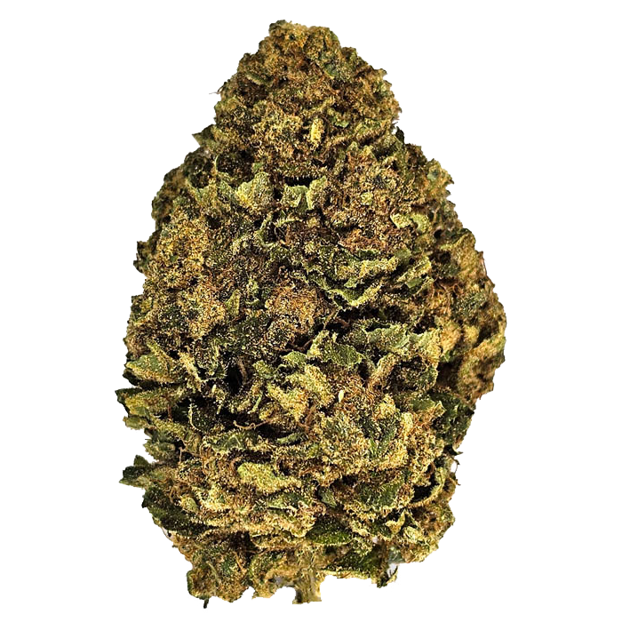 Fleurs de NorthWest CBD cultivées en France