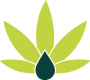 THC-legal Taux de THC légal